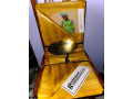 gesinner-super-magnum-xxxl-small-1