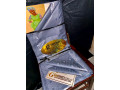 gesinner-super-magnum-xxxl-small-3