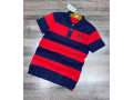 polo-original-small-0