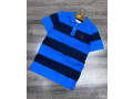 polo-original-small-3
