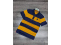 polo-original-small-2