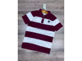 polo-original-small-4
