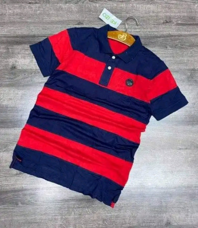 polo-original-big-0