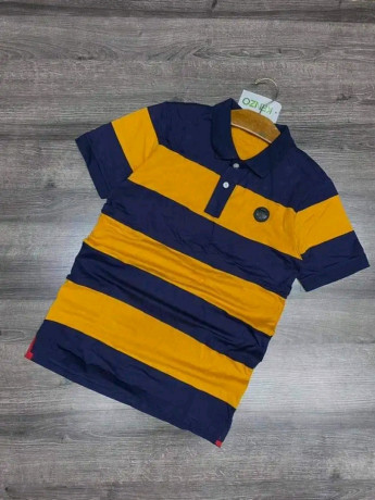 polo-original-big-2