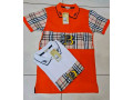 polo-original-small-3