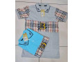 polo-original-small-2