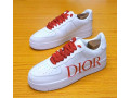 chaussures-originales-dior-small-1
