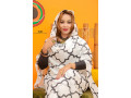 lafaye-nouvelle-small-3