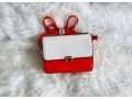 sacs-nouveautes-pour-les-femmes-small-4