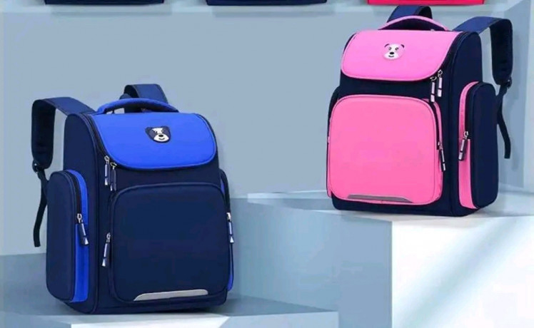 sacs-nouveaute-big-1