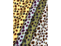 hazaz-arrivage-small-3