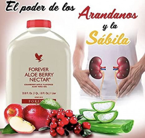 forever-aloe-berry-nectar-big-0