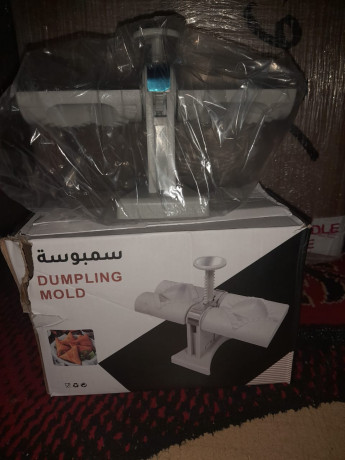 dumpling-mold-big-0