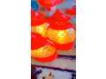 une-lanterne-feerique-decors-lendroit-pendant-le-ramadan-small-1