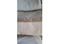 tissue-small-0