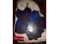 underwear-original-2023-small-2