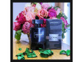 parfum-small-0
