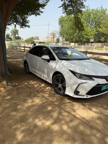 corolla-2022-big-2