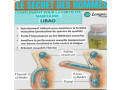 libao-de-longrich-small-0
