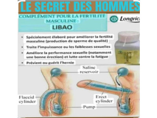 Libao de longrich