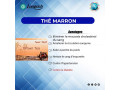 the-marron-de-longrich-small-2
