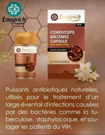 cordycem-militaris-longrich-big-2