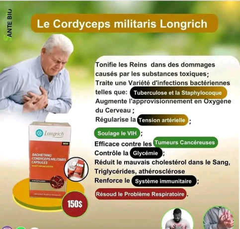 cordycem-militaris-longrich-big-1