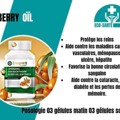 berry-oil-longrich-big-1