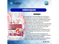 menquien-de-longrich-small-3