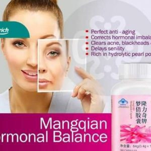 menquien-de-longrich-big-2