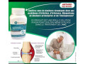 arthro-de-longrich-small-1