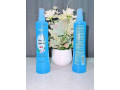 anti-moustique-de-longrich-small-3