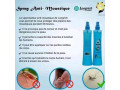 anti-moustique-de-longrich-small-1