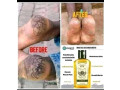 snak-oil-de-longrich-small-1