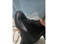 bottes-venu-de-dubai-small-0