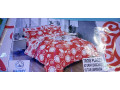 draps-3-place-draps2taiesen-coton-small-4