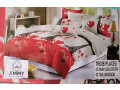 draps-3-place-draps2taiesen-coton-small-3